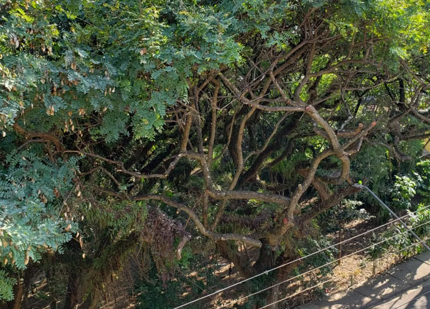 Pousada Monte Siao São Paulo 0*,